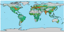 Demeter: Land Use and Land Cover Change Disaggregation