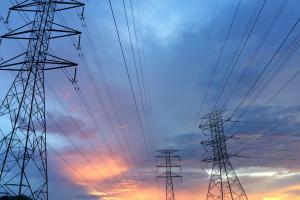 Representing power sector detail and flexibility in a multi-sector model