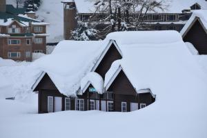 Snow covered house