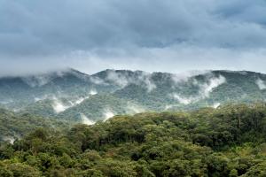 Rainforest clouds and sky