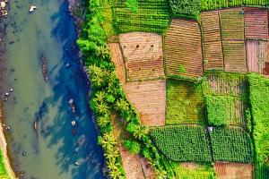 River with fields